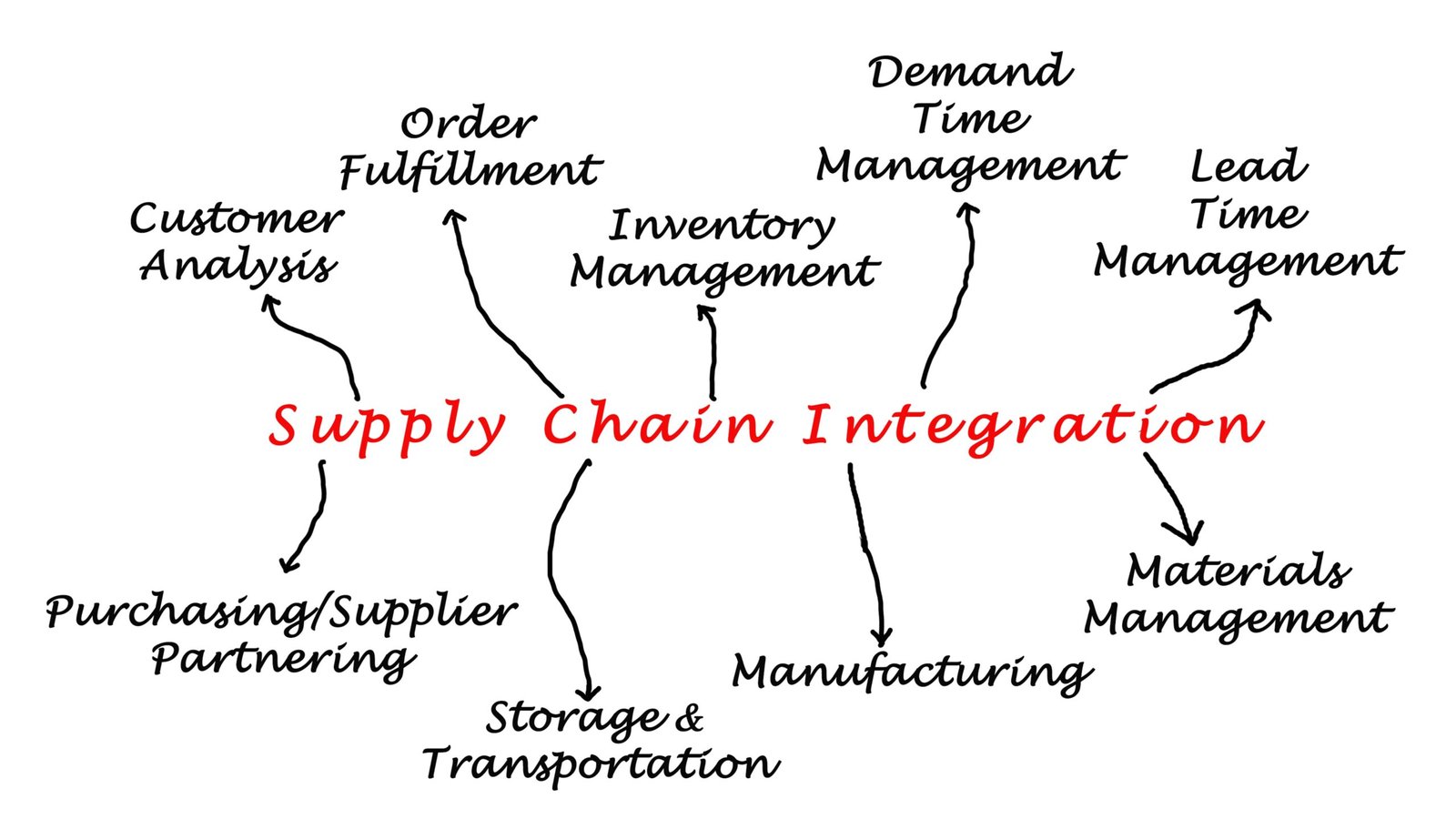 Export Strength and Global Supply Chain Integration